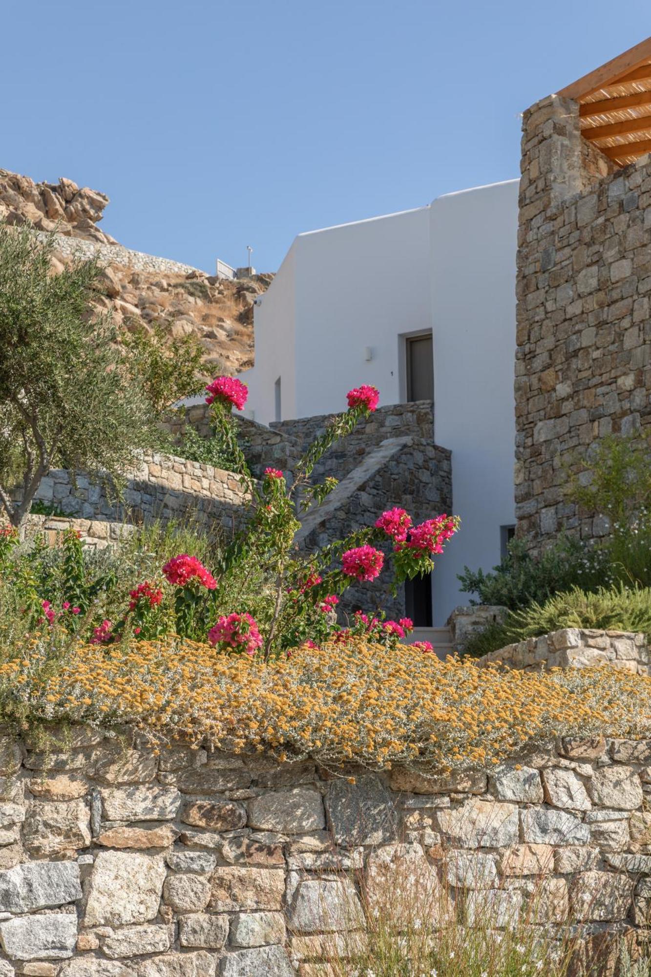 Calma Suites Mykonos Ψαρού Εξωτερικό φωτογραφία